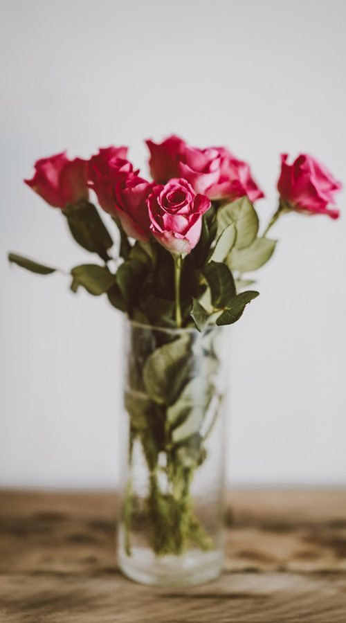 annie-spratt-568661-unsplash.jpg